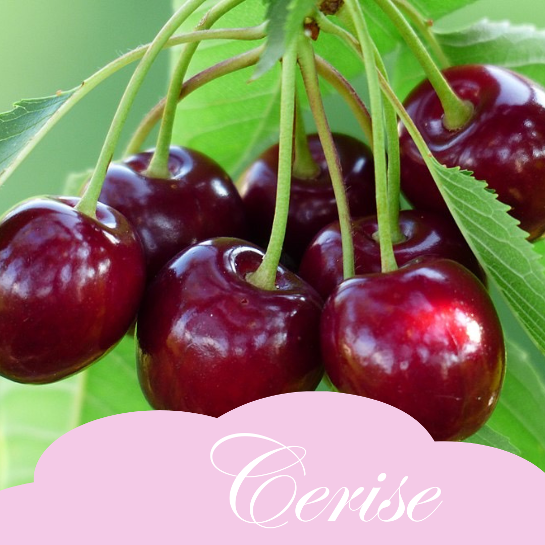 Cerise