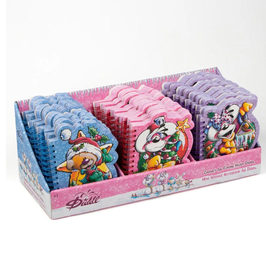 PRÉCOMMANDE :  carnet A6 forme