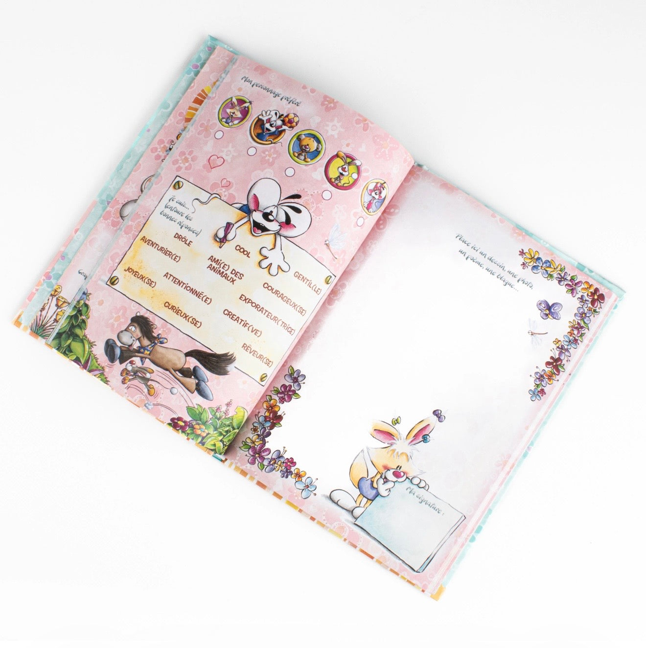 Livre d’amis Diddl - PRÉCOMMANDE