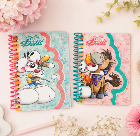Carnet A6 Diddl