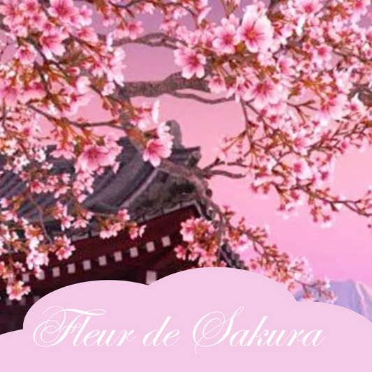 Fleur de Sakura