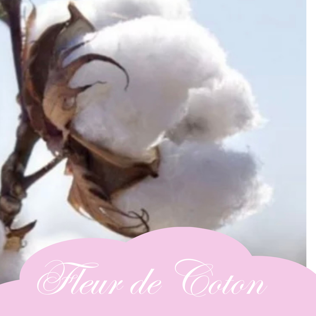 Fleur de Coton