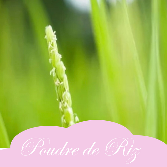 Poudre de riz